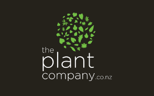 The Plant Company